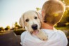 CPV Testing: A Critical Step in Protecting Puppy Health