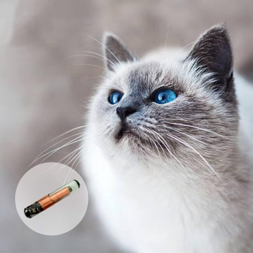 Application of pet microchip