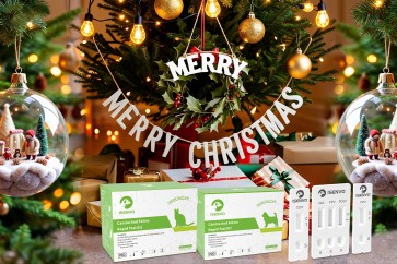 Merry Christmas & Happy New Year！