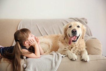How to Deal with Dry Fur in Dogs & Cats? ISENVO Liquid Collagen – The Ultimate Supplement for Skin & Coat Health