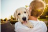 CPV Testing: A Critical Step in Protecting Puppy Health