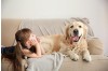 How to Deal with Dry Fur in Dogs & Cats? ISENVO Liquid Collagen – The Ultimate Supplement for Skin & Coat Health