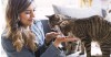 Smarter Feeding, Healthier Cats: How RFID Cat Feeders Support Pet Wellness in Multi-Pet Homes